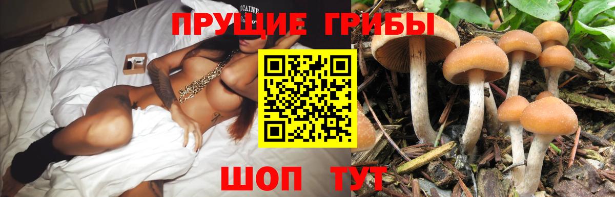 Выкса  Псилоцибиновые грибы мухоморы  сколько стоит  Вход с VPN 